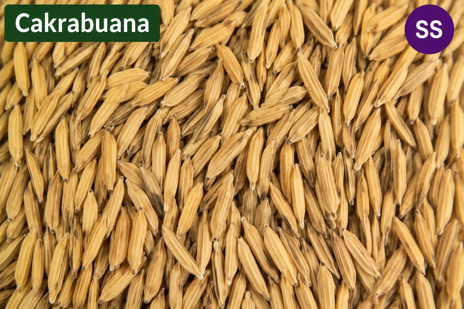 Cakrabuana SS (5Kg)