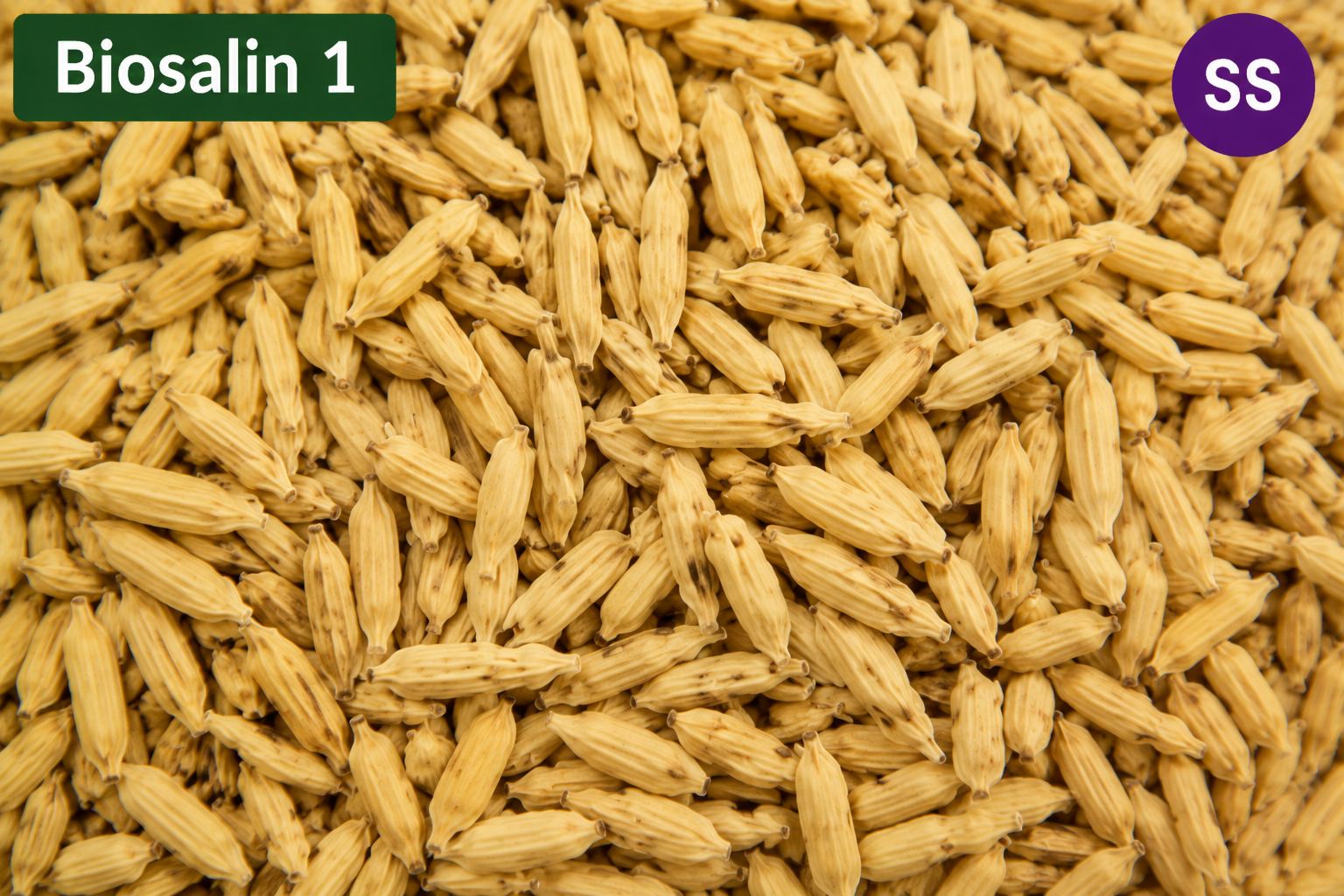 Biosalin 1 SS (5Kg)