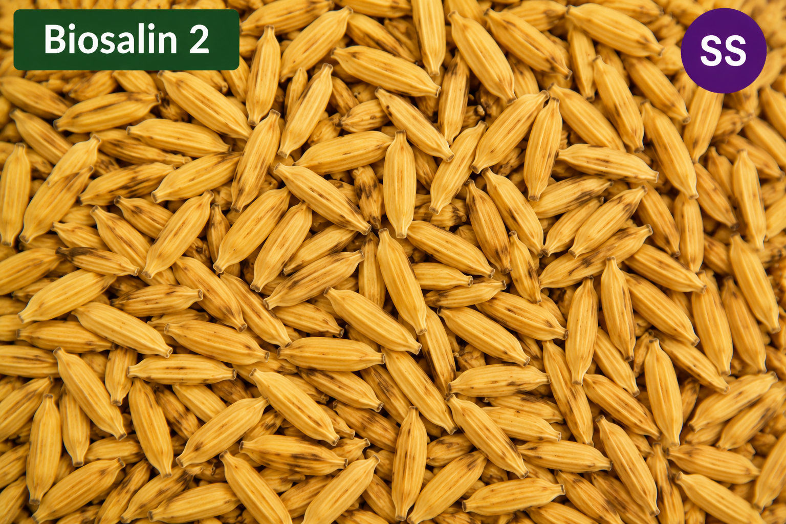Biosalin 2 SS (5Kg)