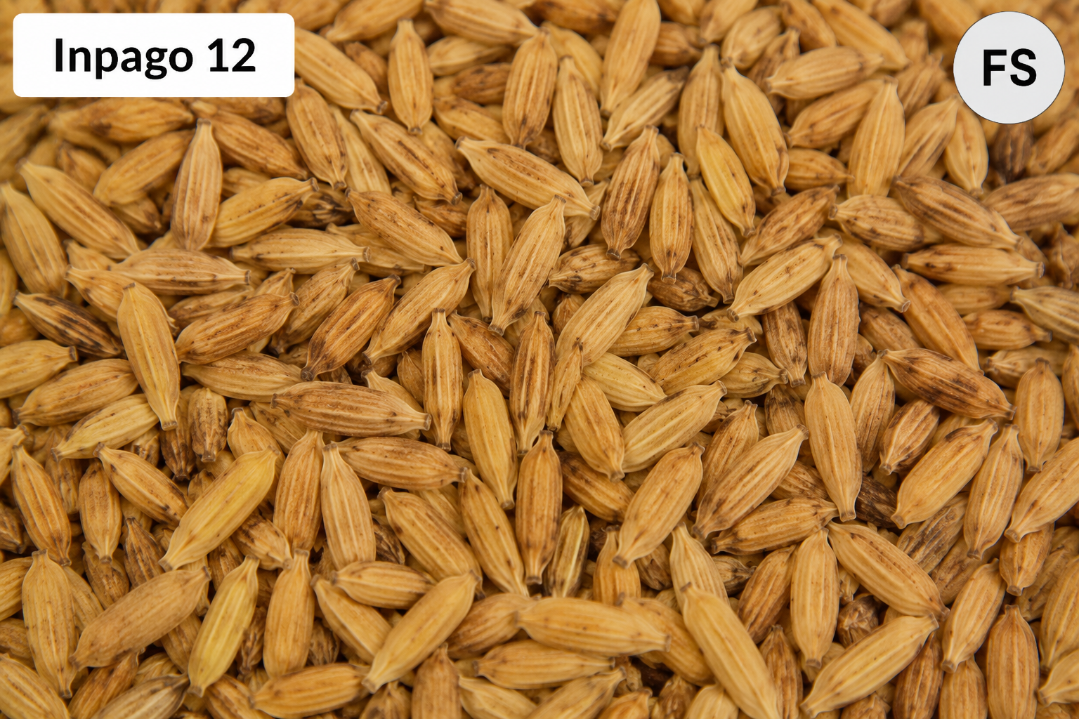 Inpago 12 FS (5Kg)