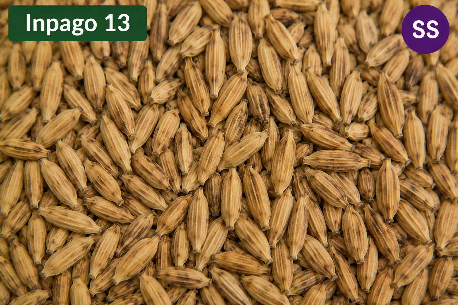 Inpago 30 SS (5Kg)