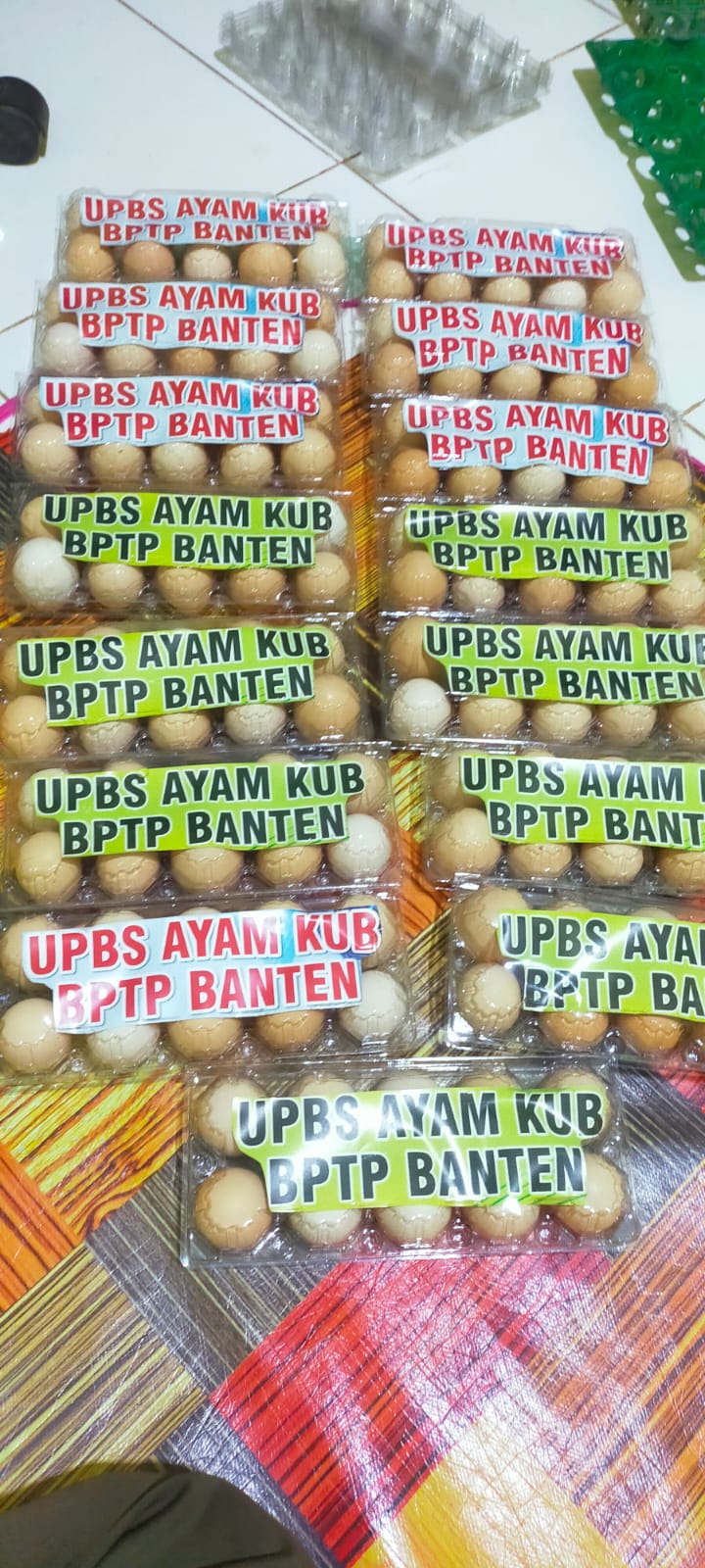 Telur Konsumsi (Pack)